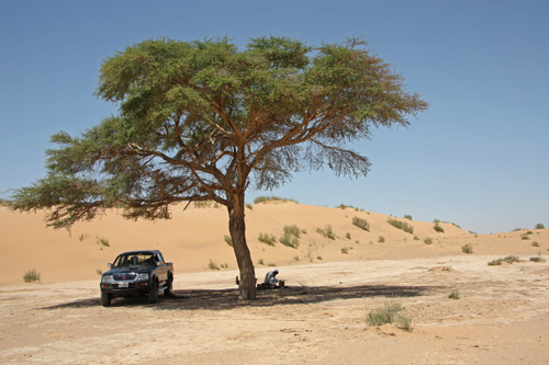 Wadi el-Araba
